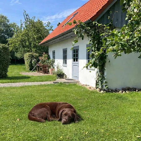 Kembser Kate - Ostholstein Kembser Kate - Meernaehe *